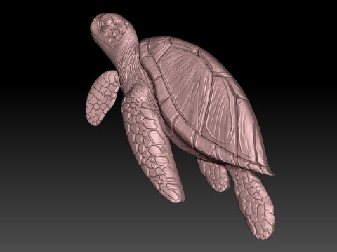 Turtle CNC Model do druku 3D