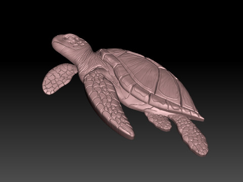 Turtle CNC Model do druku 3D