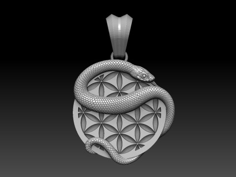 Flower of life and Snak pendant 3Dプリントモデル