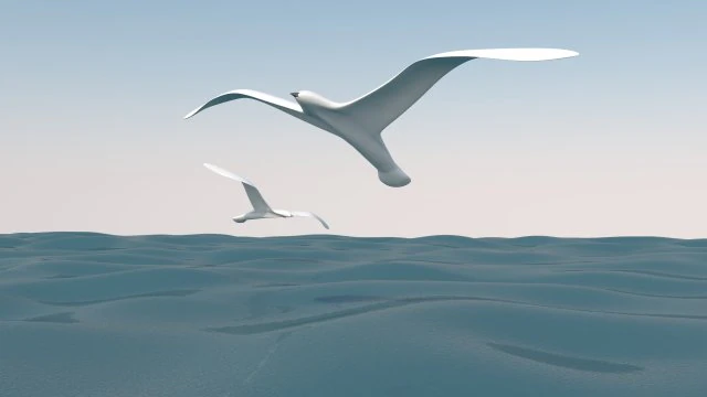 seagull and sea 3D Model .c4d .max .obj .3ds .fbx .stl .blend