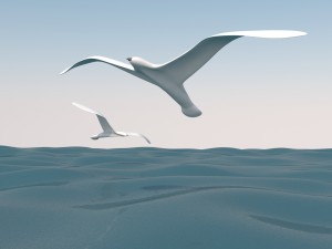 seagull and sea 3D-Modell