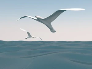 gabbiano e mare Modello 3D
