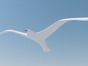 seagull and sea 3D Model