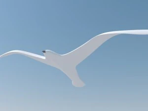 seagull and sea 3D Model