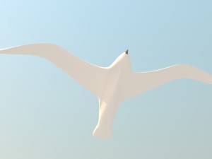seagull and sea 3D Model