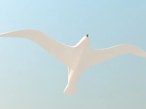 seagull and sea 3D Model