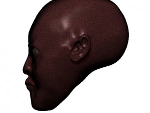 doll head 3D Model