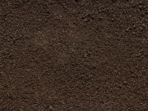 textureground Tekstur CG