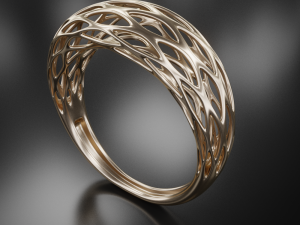 net ring 3D Print Model