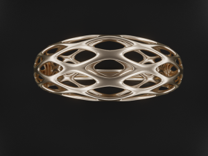 net ring 3D Print Model