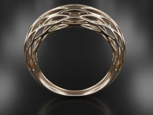 net ring 3D Print Model