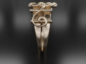 thin ring pattern 3D Print Model