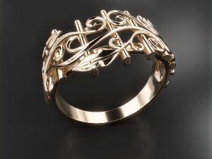 thin ring pattern2 3Dプリントモデル