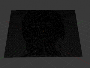 embossed image of hillary clinton 3D 打印模型
