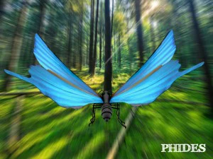 butterfly 1 3D Model
