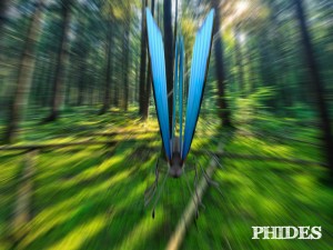 butterfly 1 3D 模型
