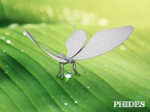 butterfly 1 3D 模型