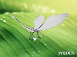 butterfly 1 3D Model