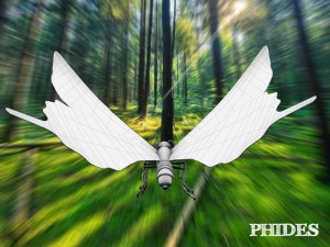 butterfly 1 3D 模型