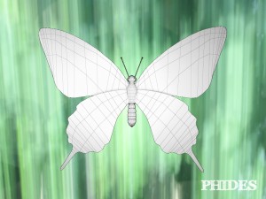 butterfly 1 3D 模型