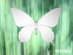butterfly 1 3D Model