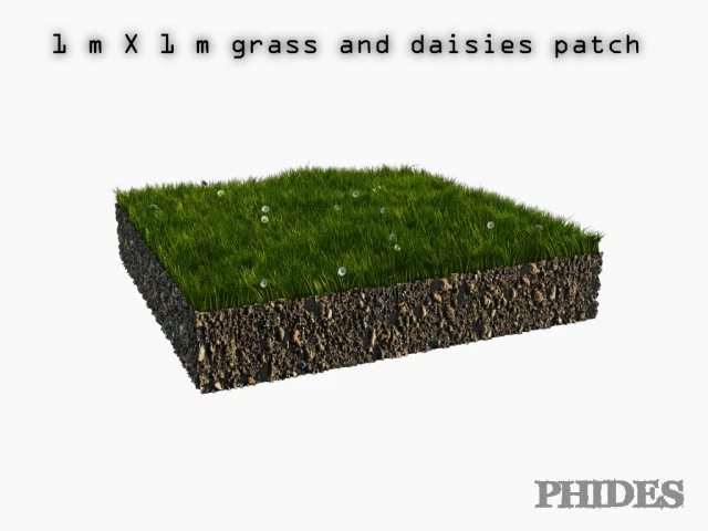 daisies meadow patch 1 3D Model .c4d .max .obj .3ds .fbx .stl .blend