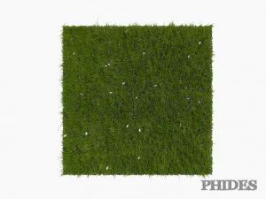 daisies meadow patch 1 3D Model