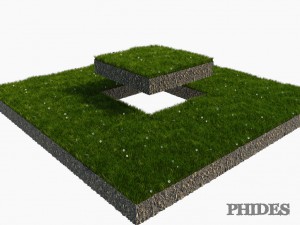 daisies meadow patch 1 3D मॉडल