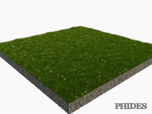 daisies meadow patch 1 3D मॉडल