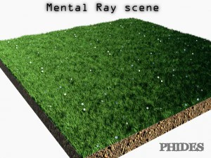 daisies meadow patch 1 3D Model