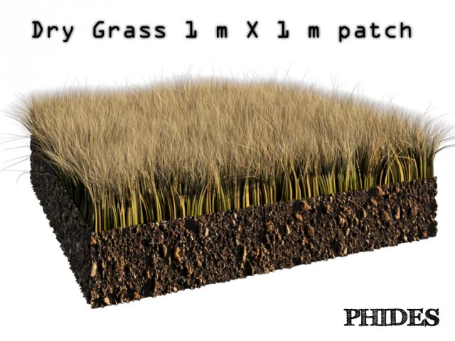dry grass 1 3D Model .c4d .max .obj .3ds .fbx .stl .blend