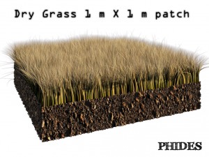 dry grass 1 3D Model