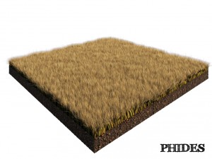 dry grass 1 Modello 3D