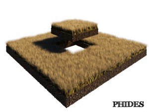 dry grass 1 Modello 3D