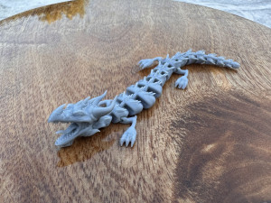 DRAGON Model 3D