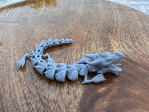 DRAGON Model 3D