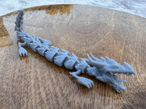 DRAGON Model 3D