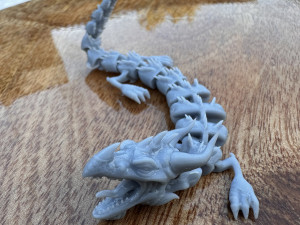 DRAGON Model 3D