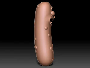 Pickle Rick 3D Print Model