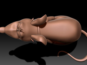 Rat 3D print model 3Dプリントモデル