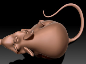 Rat 3D print model 3D Baskı Modeli