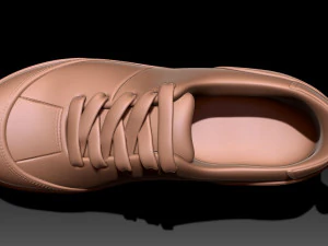 Woodland Shoe 3D Print Model