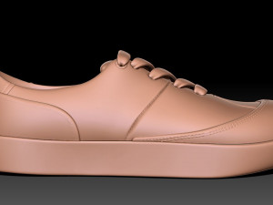 Woodland Shoe 3Dプリントモデル