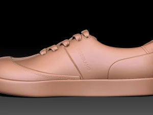 Woodland Shoe 3D Print Model