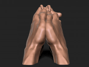 Praying Hands 3D Baskı Modeli