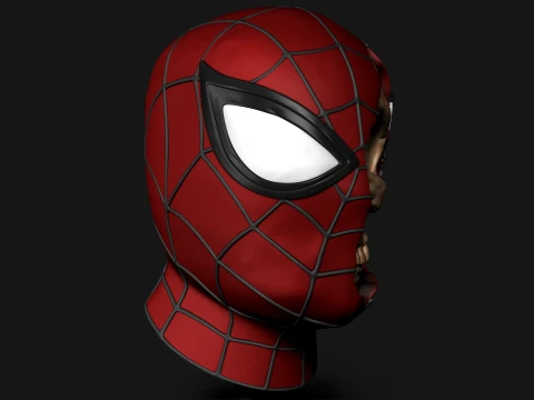 SPIDER MAN SKULL 3D Print Model