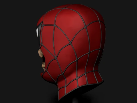SPIDER MAN SKULL 3D Print Model