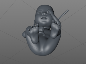 asian fetus 3D-Druckmodell