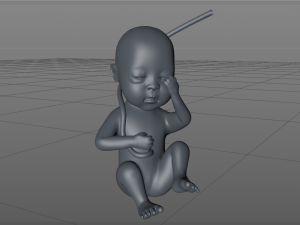 asian fetus 3D-Druckmodell