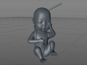 asian fetus 3D Print Model
